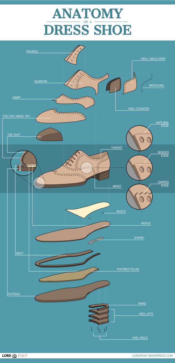 Comprehensive Shoe Anatomy Infographic (2)